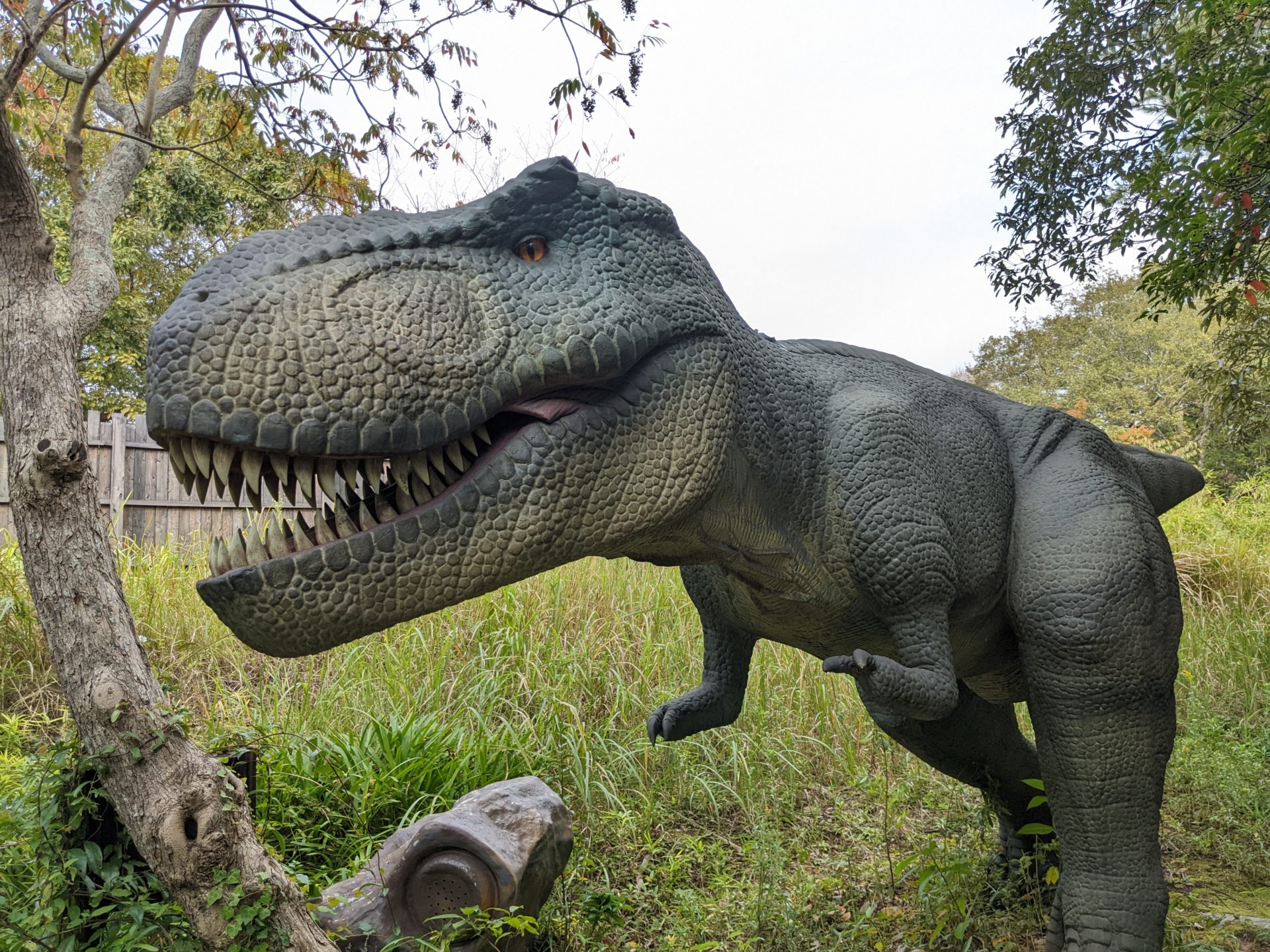 北九州の穴場のご紹介♪ 響灘緑地 グリーンパークとHUGLOT(ハグロット